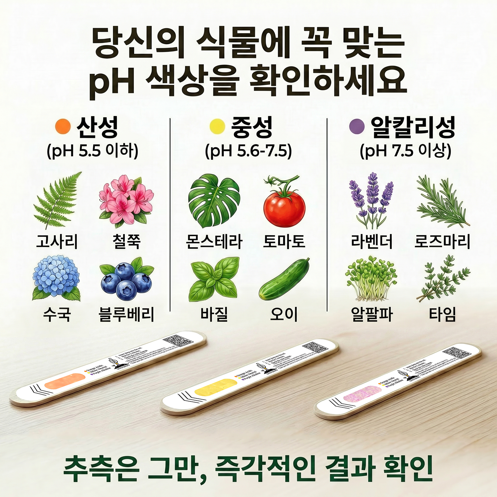 Plus-6